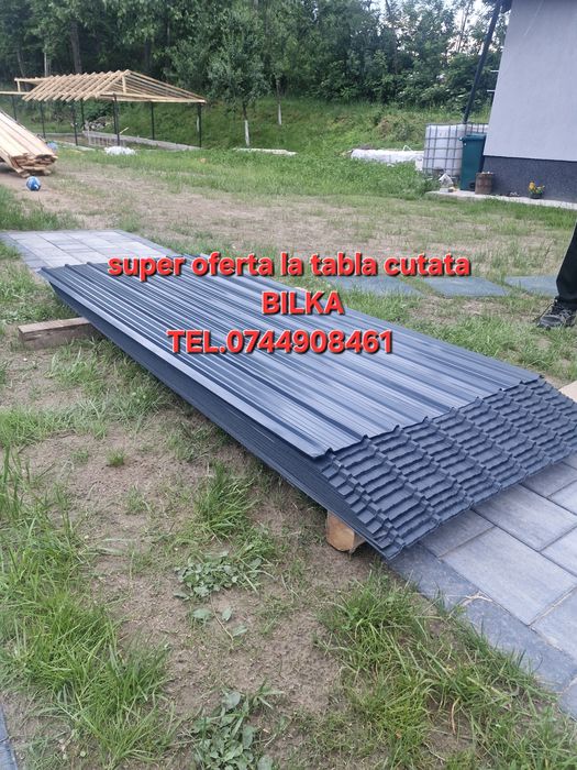 tabla cutata vopsita