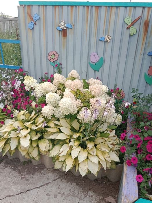 Продается    дом