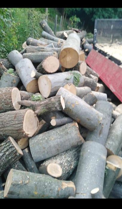 Lemne de foc fag stejar