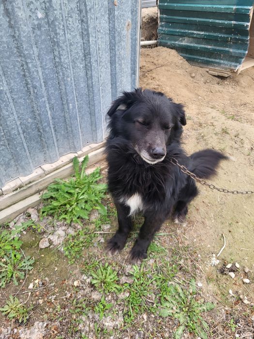 Защитник "Черный"