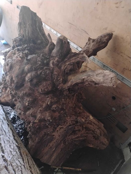 Дървен материал от орех