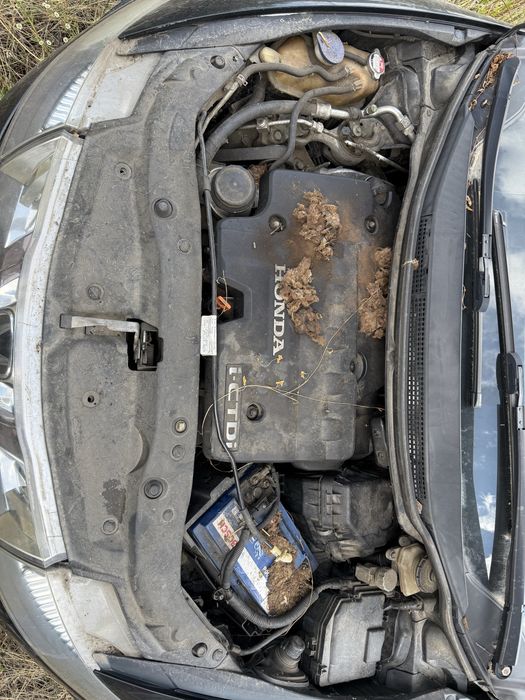 Honda civic 2.2 diesel 2006 defect