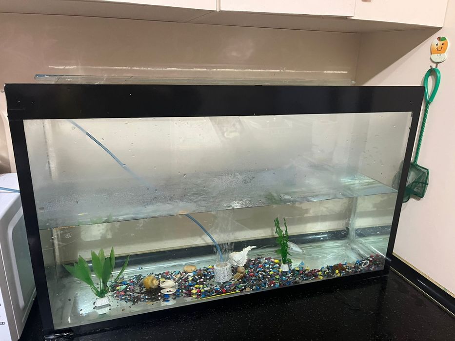 Аквариум сатылады