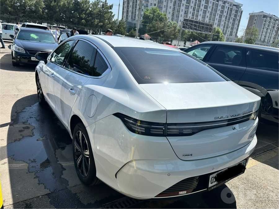 Byd Chazor 120 km Flagship