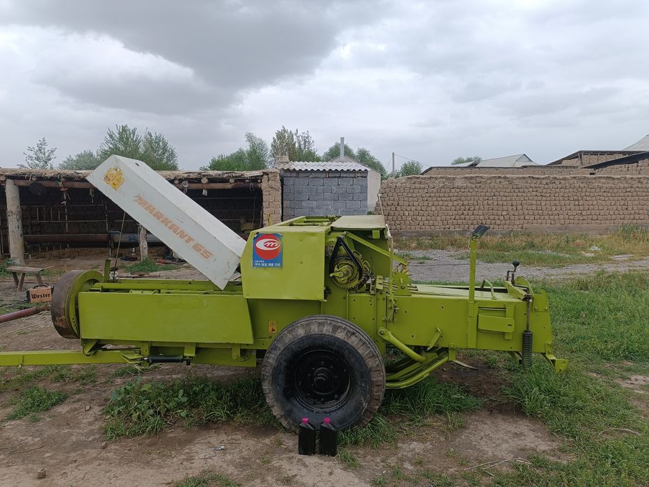 Class markant 65 podborshigi