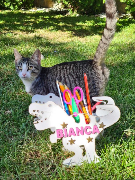 Set suport pixuri personalizat