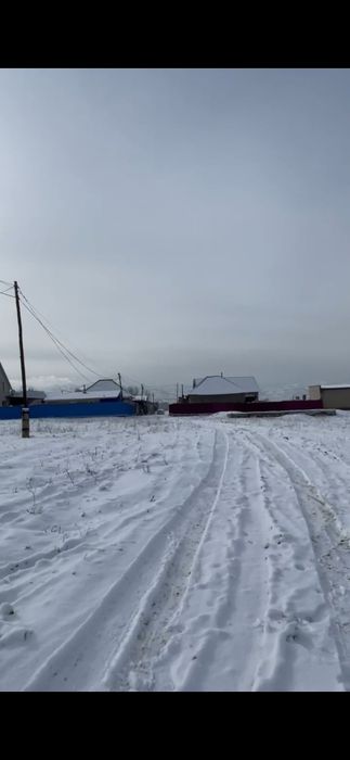 Арай ауылынан өте арзан бағада