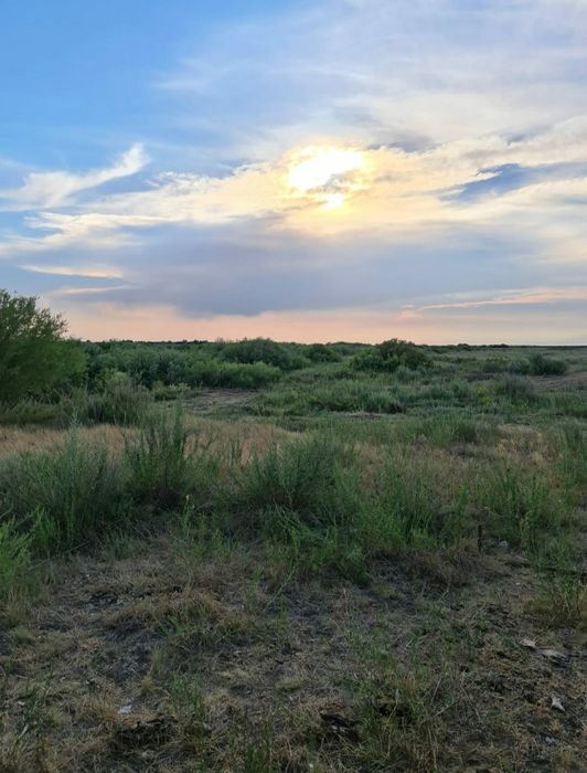 Земельный участок