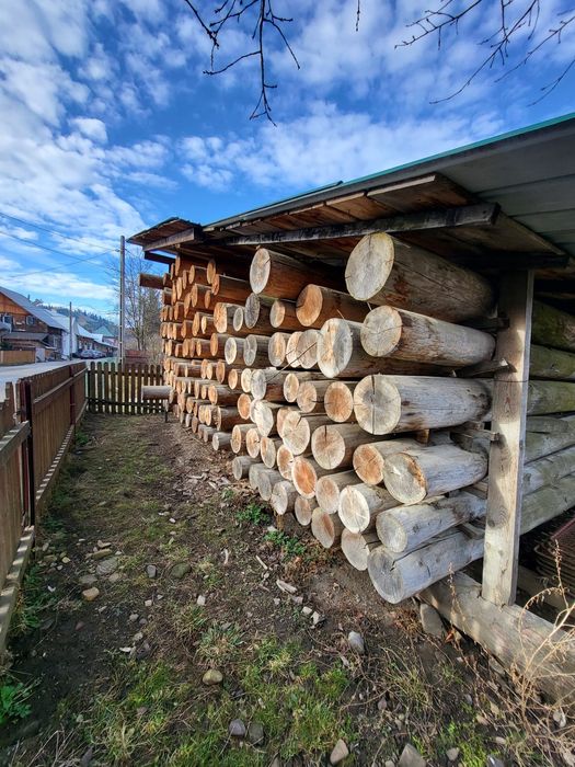 Barne cojite si uscate pentru constructii.