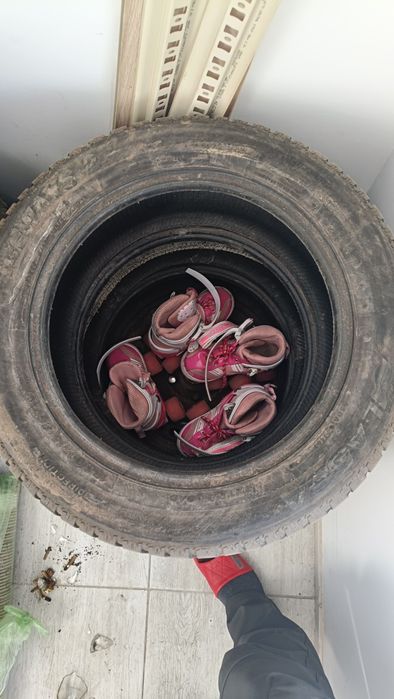 продам пару зимних шин