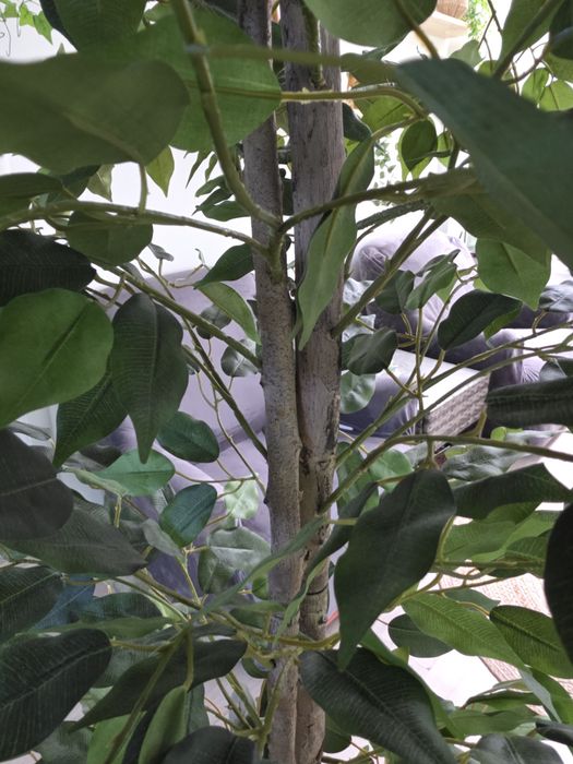 Copac ficus artificial