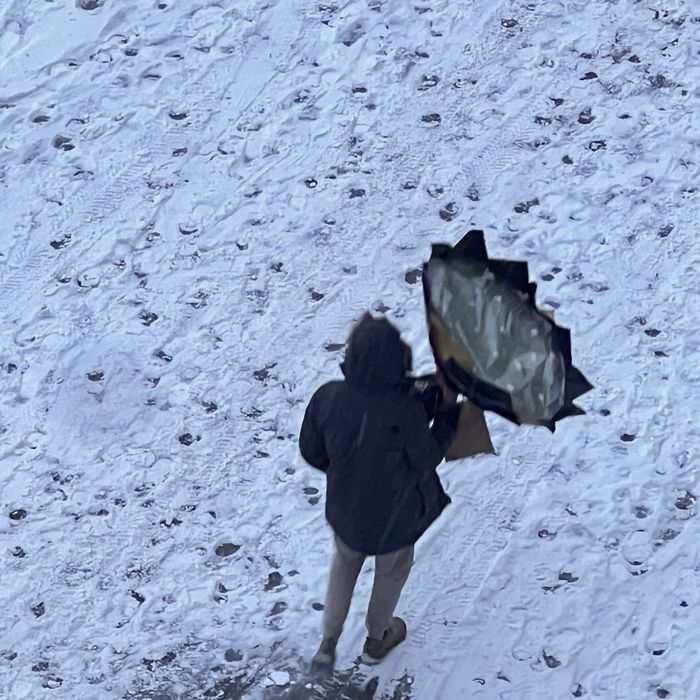 Букет денежный доларовый , цветы