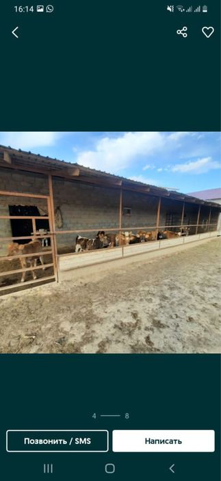 Срочно продам готовый фазенда