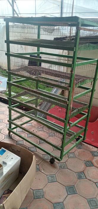 Bedana Qafas 200tali 500tali