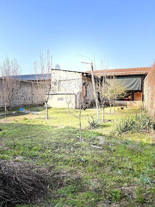 uch qahramon madaniyat 5 sotih  uchastka sotiladi