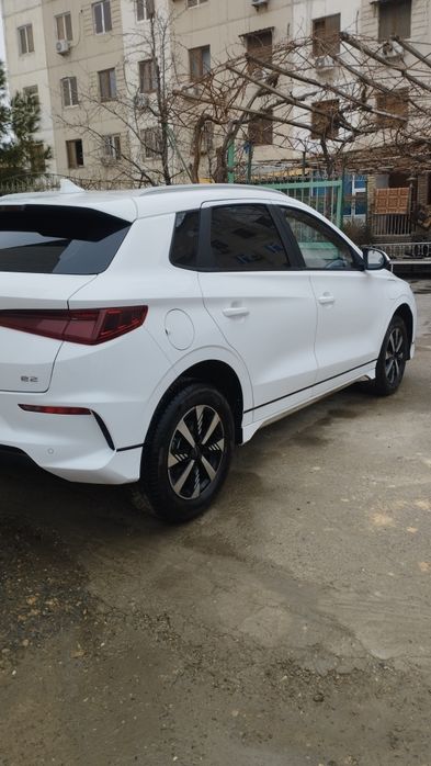 Byd e2 2024. год