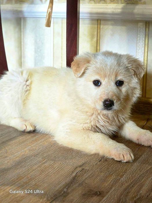 В самые добрые ручки