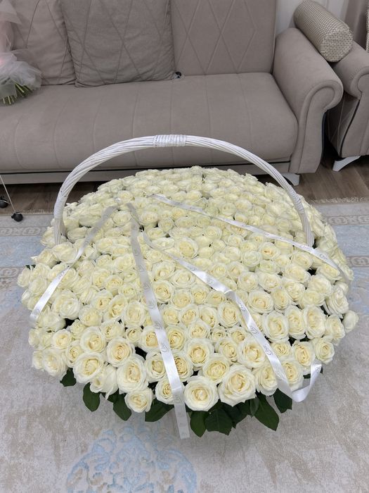 Белые голландские розы