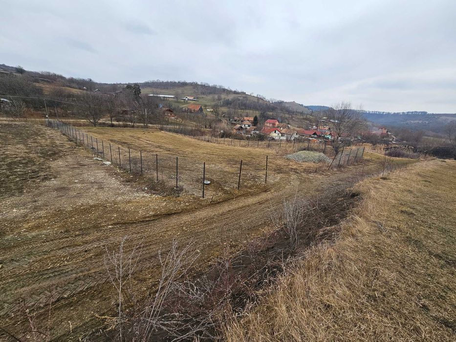 Teren intravilan Hamba