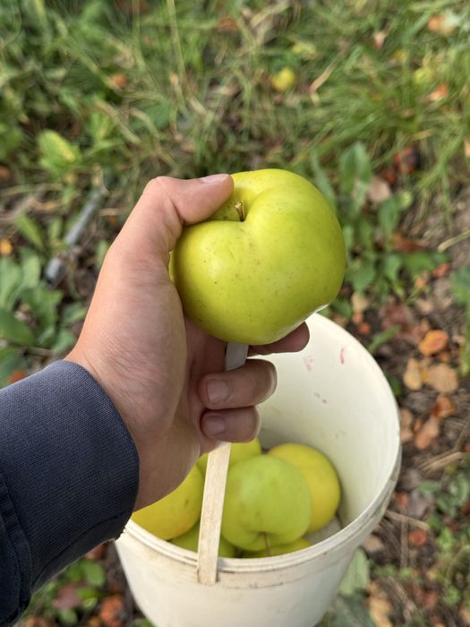 Продам дачный участок(дачу)!