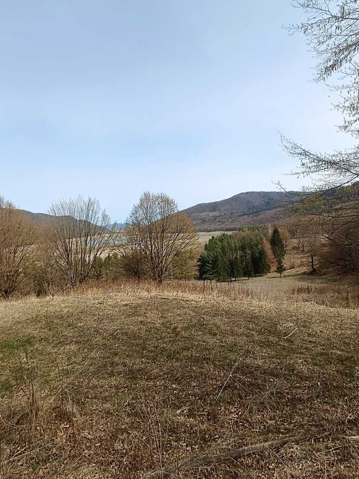 Teren Darmanesti, zona lac Valea Uzului, 3200 mp