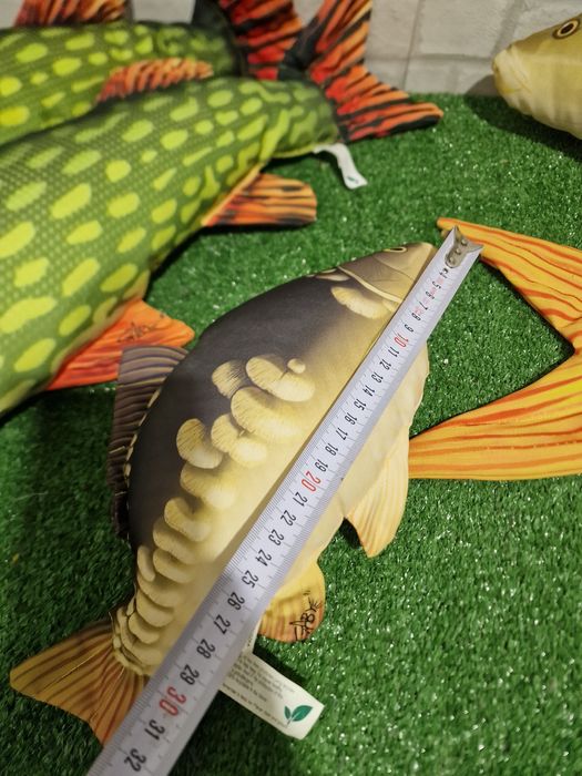 Възглавници риби разнообразие