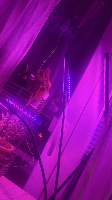 lampa pt cresterea plantelor si rasadurilor de interior