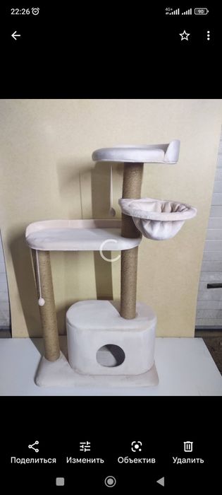 Комплекс для кошек