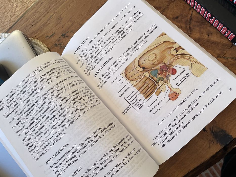 Neuropsihologie Eugen Avram