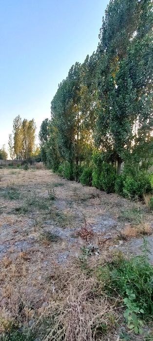 Янги юл.Кирарик 10 и 12  соток земля