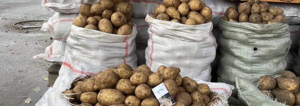 Картофель картошка