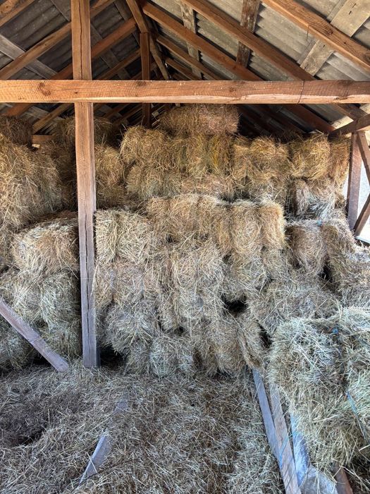 Vand Baloti fan - 12 Lei