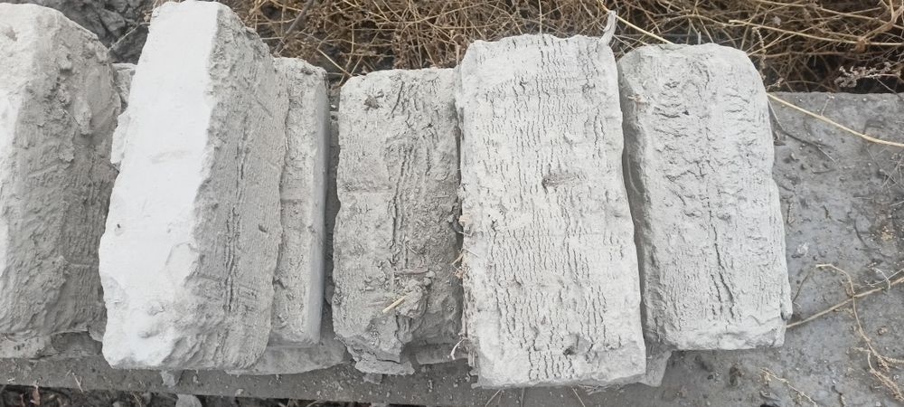 Xom   Ġisht zavodniki xolati zor