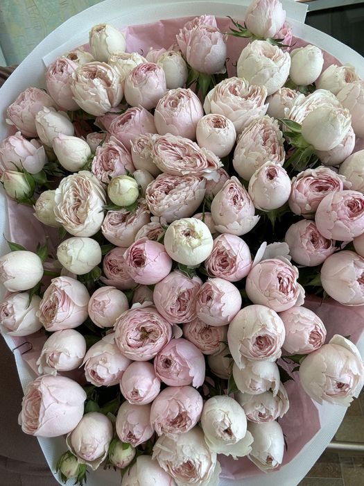 Продам букет свежий