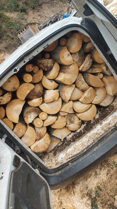 Vând lemne de foc uscate, fag