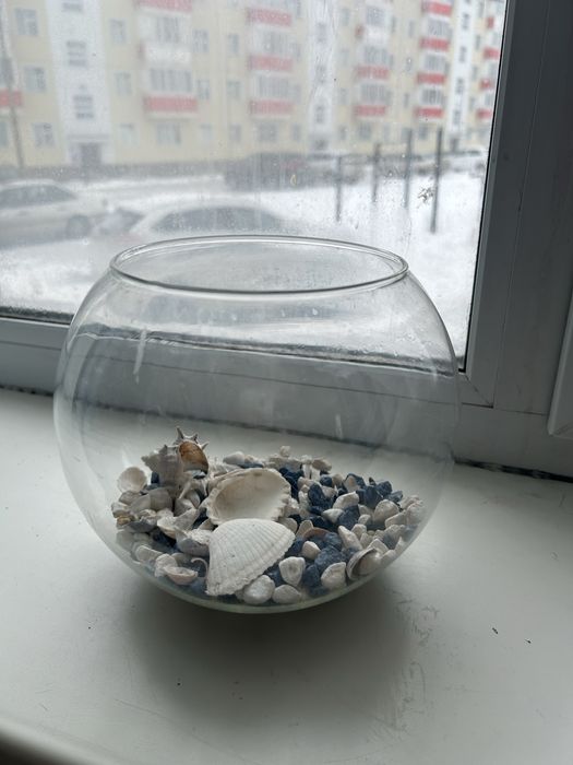 Аквариум для маленьких рыбок