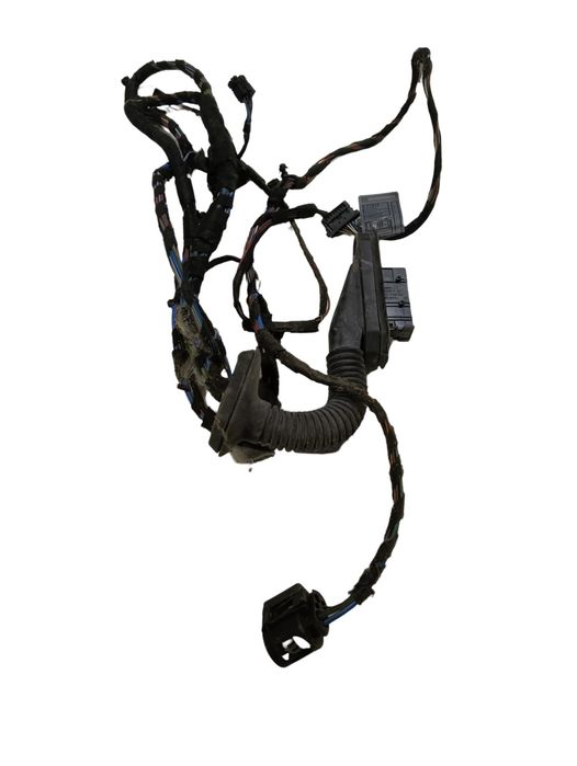 Instalatie Electrica Usa Stanga Fata Bmw 3 V Coupe E92 2005 - 2013