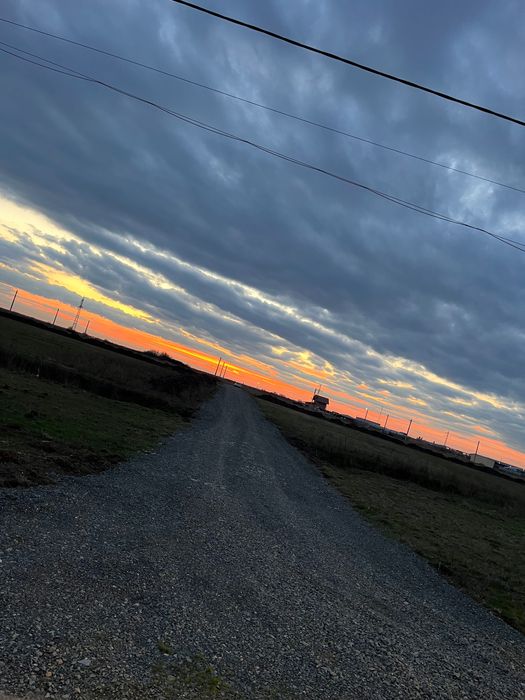 Teren intravilan Sacalaz