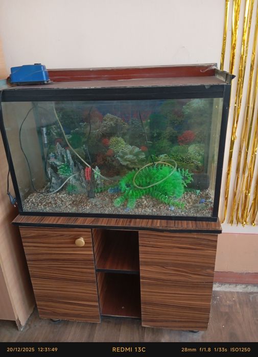 Akvarum baliq lar uchun ham narsasi bor tayyor Viltir bor