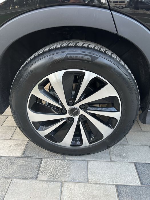 Byd Chempiyon Honor 2024 Yil