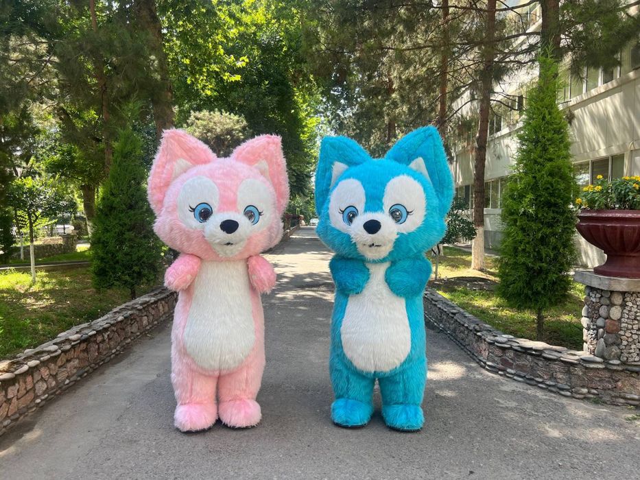 Сотилади Тедди Айиклари