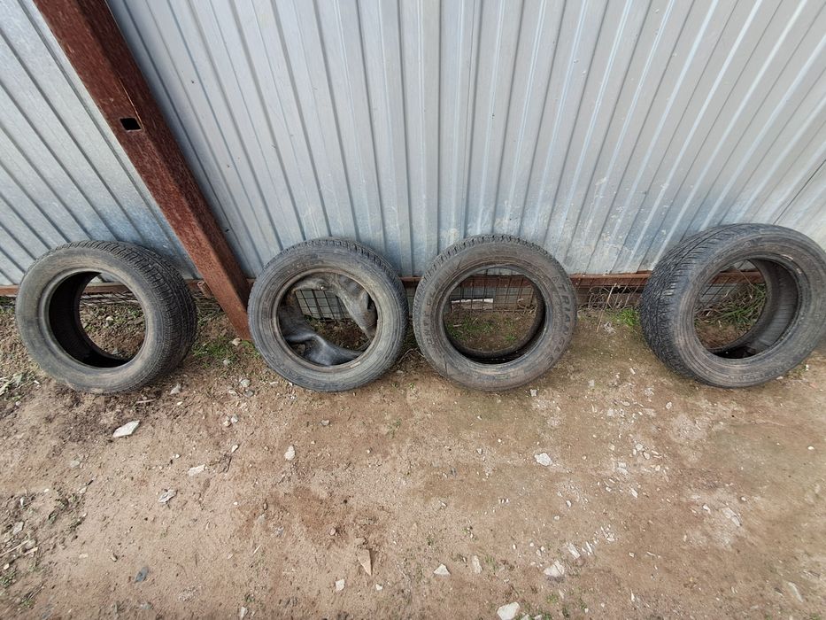 Продам летрие шины