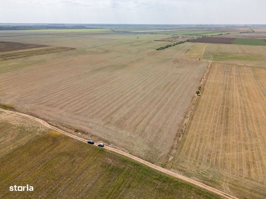 Dascalu - Teren Intravilan 7500 Mp, Investitie!