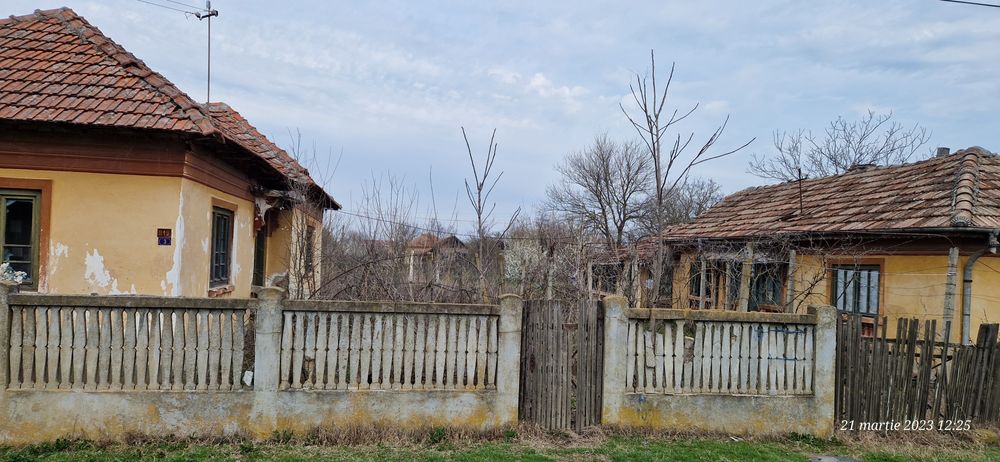 Teren si casa in Goicea-Dolj