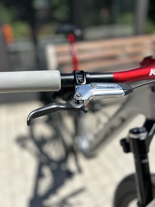 Specialized Epic SW 8 custom 29/M