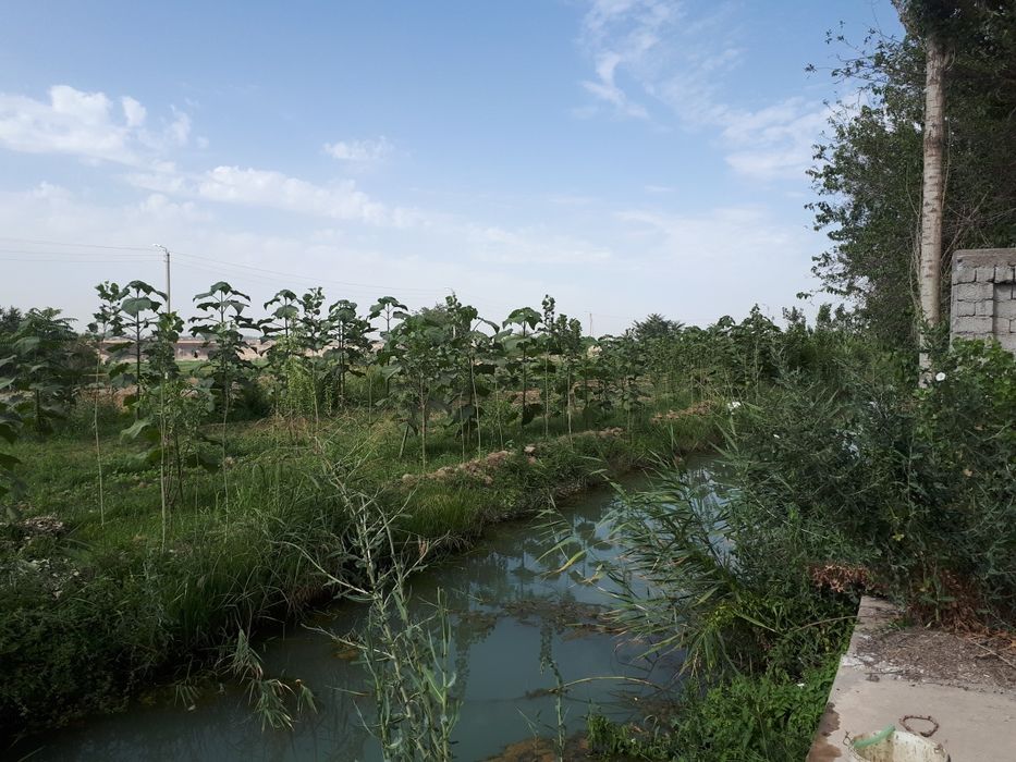 Продам свой участок