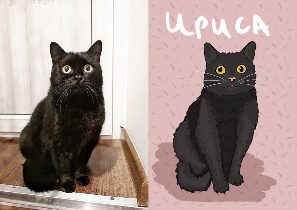 Рисунок питомца по фото