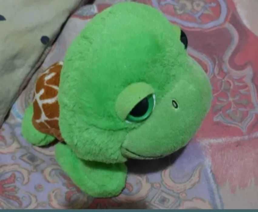 Adorabilul Oachy