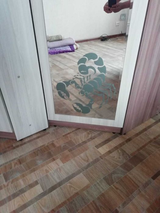 Угловой платяной шкаф с зеркалом и рисунком