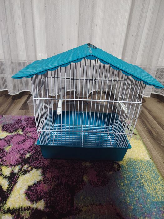 Vând papagal nimfa cu cusca!